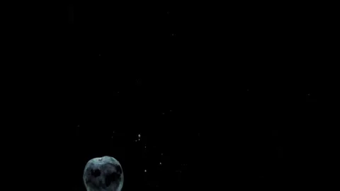 Slow motion one plum spinning falling into transparent water on black background Stock Footage 270937676