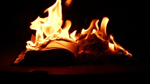 Slow motion open book burning in fire, fire flame, burning old paper on ground Stock Footage 307900442