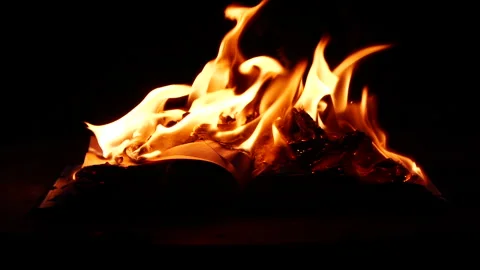 Slow motion open book burning in fire, fire flame, burning old paper on ground Video stock 308991671