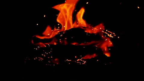 Slow motion open book burning in fire, fire flame, burning old paper on ground Stock Footage 309605493