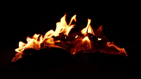 Slow motion open book burning in fire, fire flame, burning old paper on ground Stock Footage 312591029