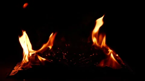 Slow motion open book burning in fire, fire flame, burning old paper on ground Stock Footage 313027585