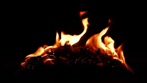 Slow motion open book burning in fire, fire flame, burning old paper on ground Stock Footage 313465634