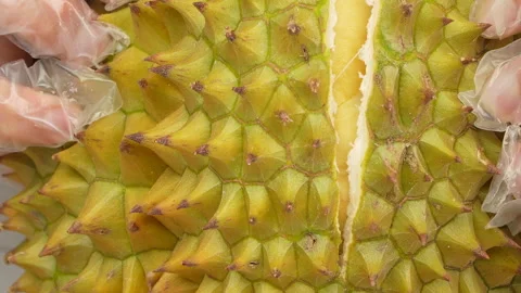 Slow Motion Opening Another Segment of Fresh Durian Fruit Stock Footage 327540618