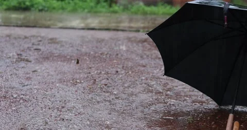 Slow motion outdoors during heavy rainfall and a black umbrella opens. Stockbeeldmateriaal 342400046