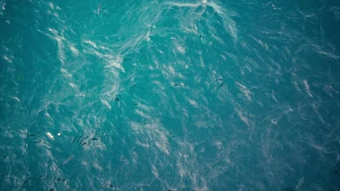 Slow motion over disturbed ocean water surface, loopable. Impressive background  Stock Footage 203710595