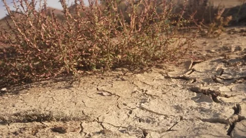 Slow motion over dry cracked earth Stock Footage 318452339
