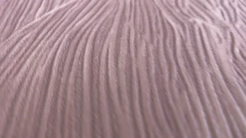 Slow motion over pink texture Stock Footage 140568474