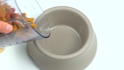Slow motion overhead view of dry pet kibble being poured from cup into bowl. Stock Footage 164532721
