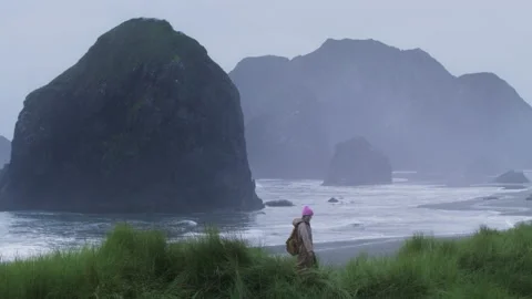 Slow motion Pacific ocean coast scenery landscape, tourist woman on green hills 스톡 동영상 168146186