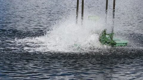 Slow motion of paddle wheels aerators in lake, Video stock 153034086
