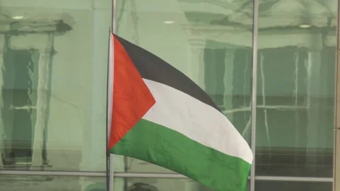 Slow Motion of Palestine Flag Blowing Gently in Wind During Protest Stock Footage 320663533