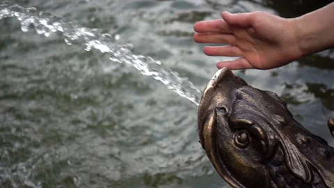Slow Motion of the palm touching the jet of water Stock Footage 109264238