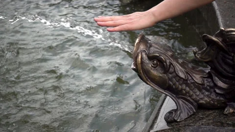 Slow Motion of the palm touching the jet of water in the fountain. Stock Footage 109264372