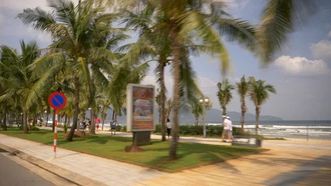 Slow motion palm trees along the beach Stock Footage 98032866