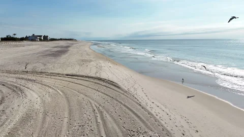 Slow Motion Pan Across a Beach with Seagull Flybys Stock Footage 271141382