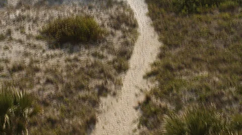 Slow motion pan up on beach trail towards water Stock Footage 23730097