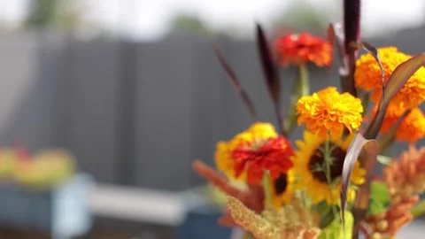 Slow motion pan down fall themed floral arrangement on a dinner table outdoors Stock Footage 317602334