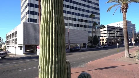 Slow motion pan down from saguaro cactus to reveal downtown Tucson building Stock Footage 78488425