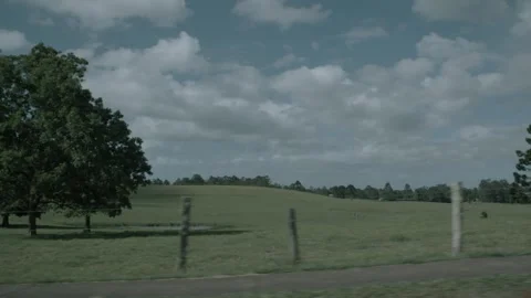 Slow Motion Pan of Green Pastures and Trees in Sunshine Coast Hinterland, Queens Stock Footage 341298313