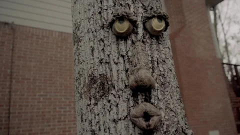 Slow motion pan right funny face on tree Atlanta Georgia 4k Stock Footage 260424195