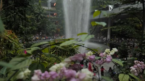 Slow motion pan through greenery plants to reveal Changi Jewel Waterfall vortex Video stock 294686048