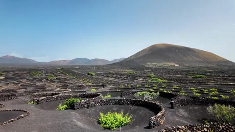 Slow motion pan of volcanic vineyards in La Geria, Lanzarote Stock Footage 346375968