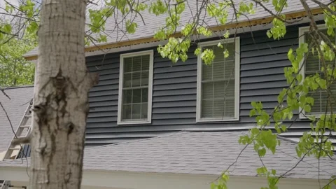 Slow motion pan from a white birch tree revealing newly installed windows and Stock Footage 341362186
