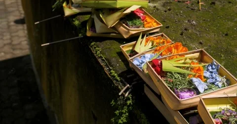 Slow motion panning shot of caning sari making offerings to the gods in Bali Stock-Footage 242500912