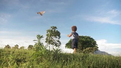 Slow motion panning shot from down low behind a young boy flying a kite in Stock Footage 108473392