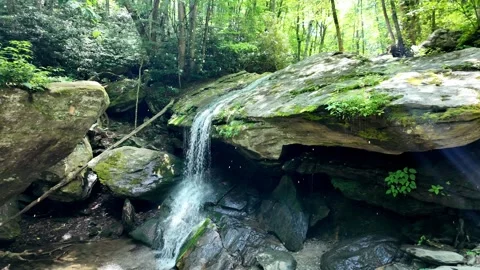 Slow motion panning shot of leaves falling in the forest next to a waterfall Stock Footage 339810189