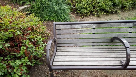 Slow Motion Panning Video Of bench in the park Stock Footage 138639629
