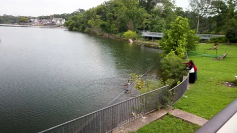 Slow Motion Panning Video Of bridge in the park Stock Footage 138647341
