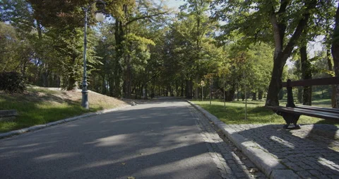 Slow motion park bench and walkway in Romanescu park 4K video Vídeo Stock 295096064