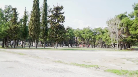 Slow motion of the park in the forest ,the trees and the streets 動画素材 105038775