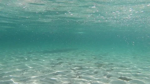 Slow motion passage of a white stand up paddle board filmed from underwater Stock Footage 112067467