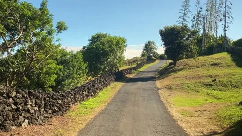 Slow Motion Paved Road with Trees and a Stone Wall 動画素材 157095392