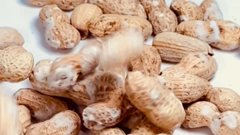 Slow motion of peanuts in shell on a white surface, horizontal view Stock Footage 345155553