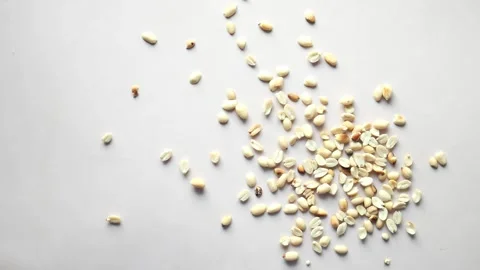 Slow motion of peanuts throwing on white background Stock Footage 247816647