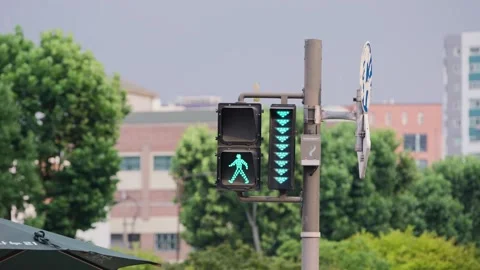 Slow motion of pedestrian green lights at crossing in Seoul Stock Footage 314741475