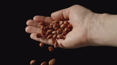 SLOW MOTION: Peeled peanuts fall from man's palm - Front view Stock Footage 102212884