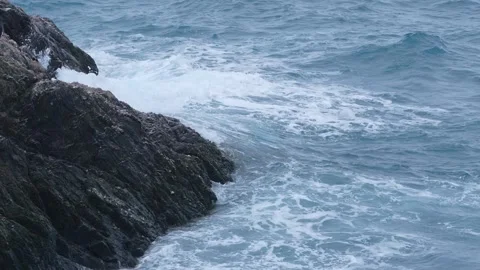 Slow Motion Penguin Dives From Rock Into Wave Splash in Antarctica Point Wi.. Stock Footage 340303331
