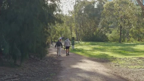 Slow motion of people walking through park as puppy approaches Stock Footage 321929430