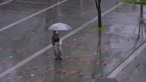 Slow motion people walking with umbrellas through rain beside trees Hakata Japan Stock Footage 331003618