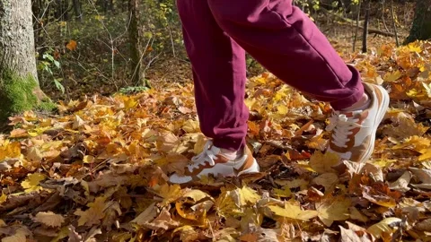 Slow Motion Person Walking Through Autumn Leaves In Forest Stock-Footage 320831780