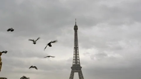 Slow motion pigeons flying in front of Eiffel tower in Paris, flock of birds  库存影片 85674404