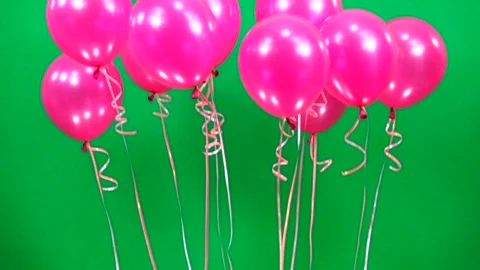 Slow motion  pink balloons fly up  on green screen Stock Footage 85555800