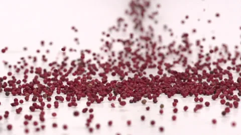 Slow motion pink pepper Stock Footage 33801915