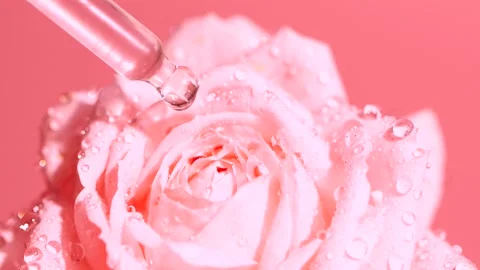 Slow motion of pink serum fluid, water drop from dropper falling on rose flower Stock Footage 197347945