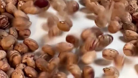 Slow motion of pinto beans pouring on a white surface, horizontal view Stock Footage 345155625